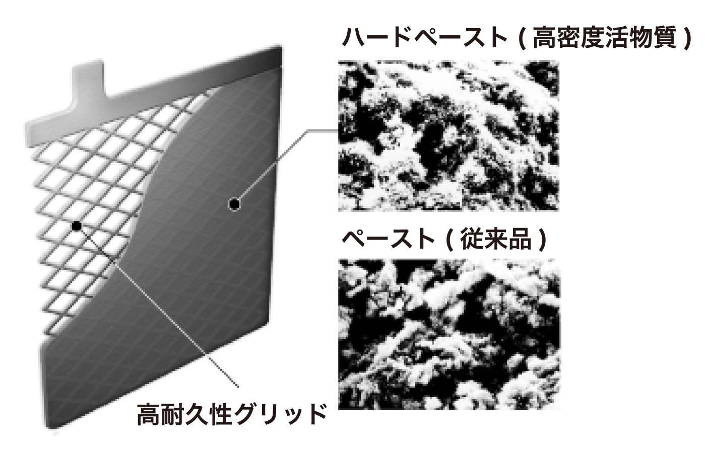 4つの先進処方