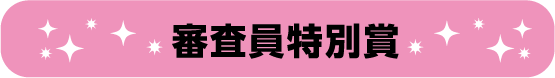 審査員特別賞