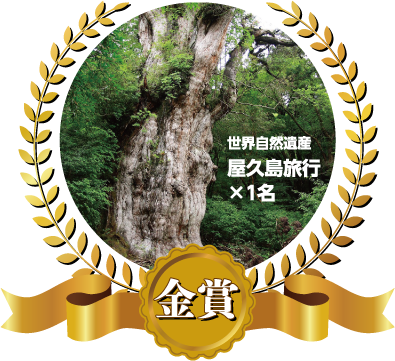 金賞:世界自然遺産 屋久島旅行×1名