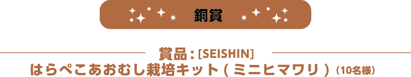 銅賞 [SEISHIN]はらぺこあおむし栽培キット(ミニヒマワリ) （10名様）