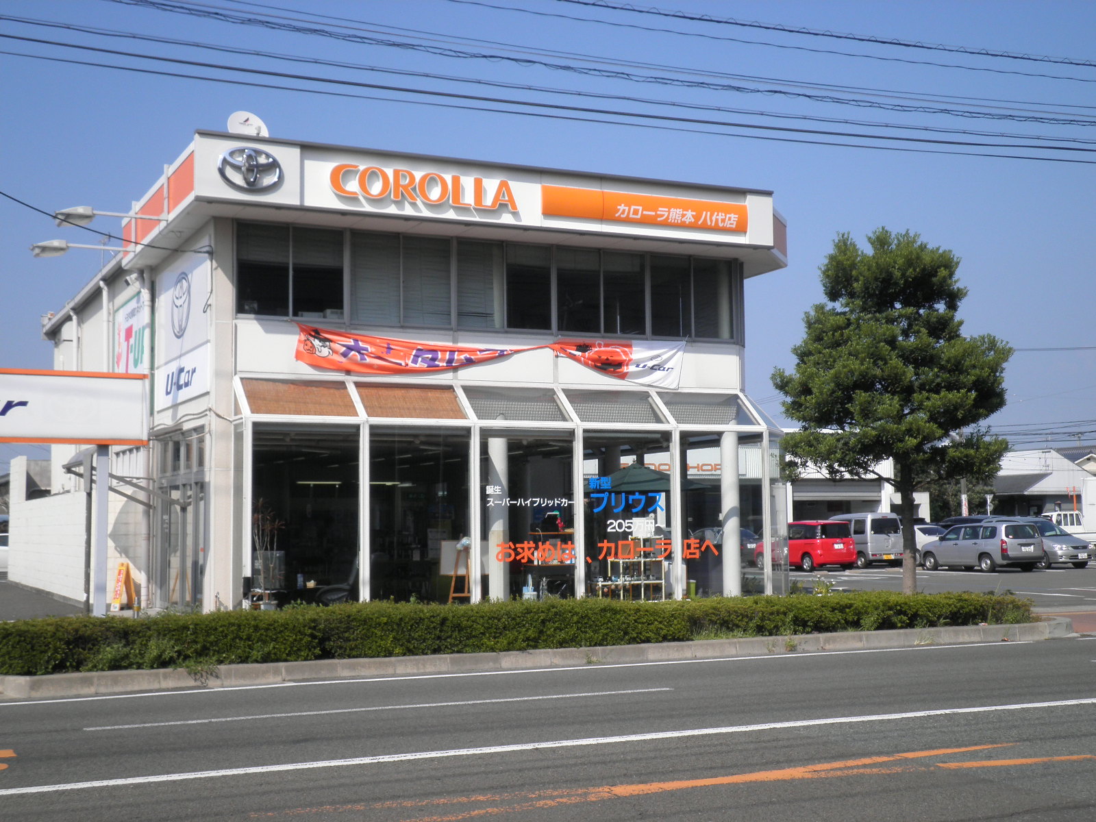 トヨタカローラ熊本(株)　八代営業所